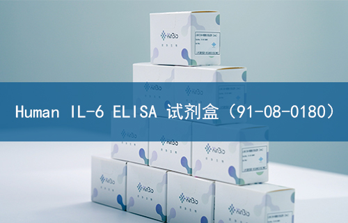 Human IL-6 ELISA 试剂盒（91-08-0180）